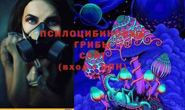 герыч Алексин