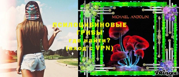 герыч Алексин